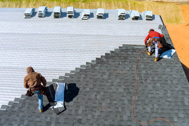 Best Storm Damage Roof Repair  in Buchanan, VA