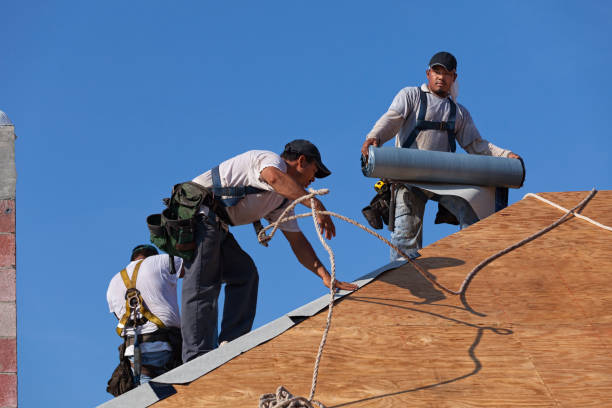 Roof Waterproofing Services in Buchanan, VA