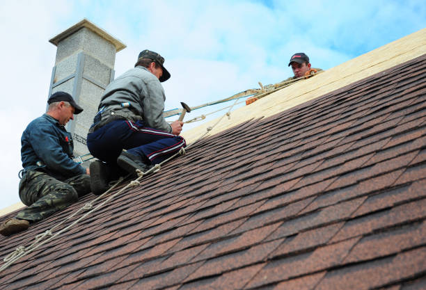 Best Emergency Roof Repair  in Buchanan, VA