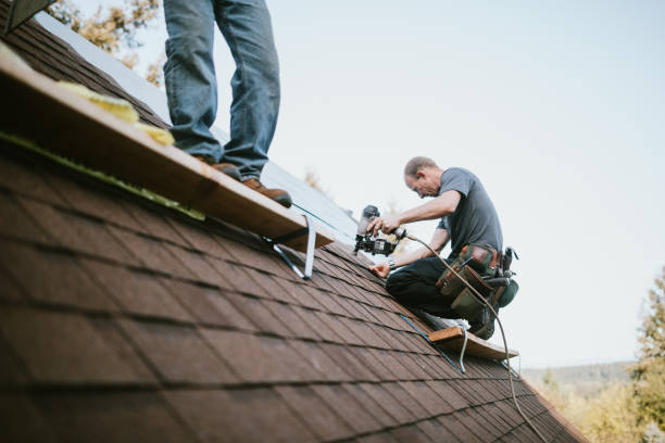Best Storm Damage Roof Repair  in Buchanan, VA